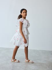 Baker by Ted Baker Floral Burnout Frill Tier Dress - Image 3 of 12