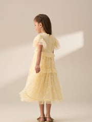 Angel & Rocket Yellow Luisa Sunshine Embroidered Mesh Dress - Image 2 of 9
