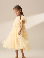 Angel & Rocket Yellow Luisa Sunshine Embroidered Mesh Dress - Image 6 of 9