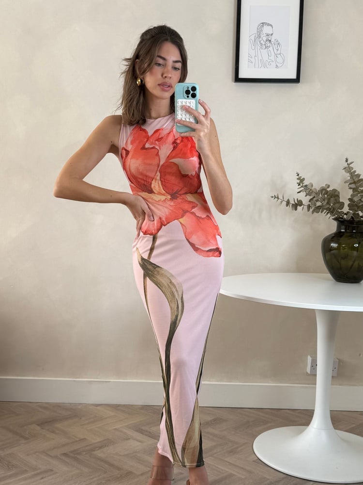 Style Cheat Pink Mesh Placement Floral Print Sleeveless Maxi Dress - Image 1 of 3