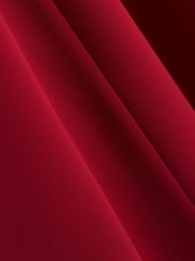 Ted Baker Red Carnil-Tailored Longline Dress - Image 5 of 5