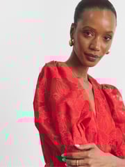 Joanna Hope Red Organza Burnout Dress - Image 3 of 4