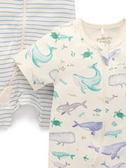 Purebaby Blue Turtle Print Short Sleeve 100% Cotton Sleepsuits 2 Pack - Image 4 of 5