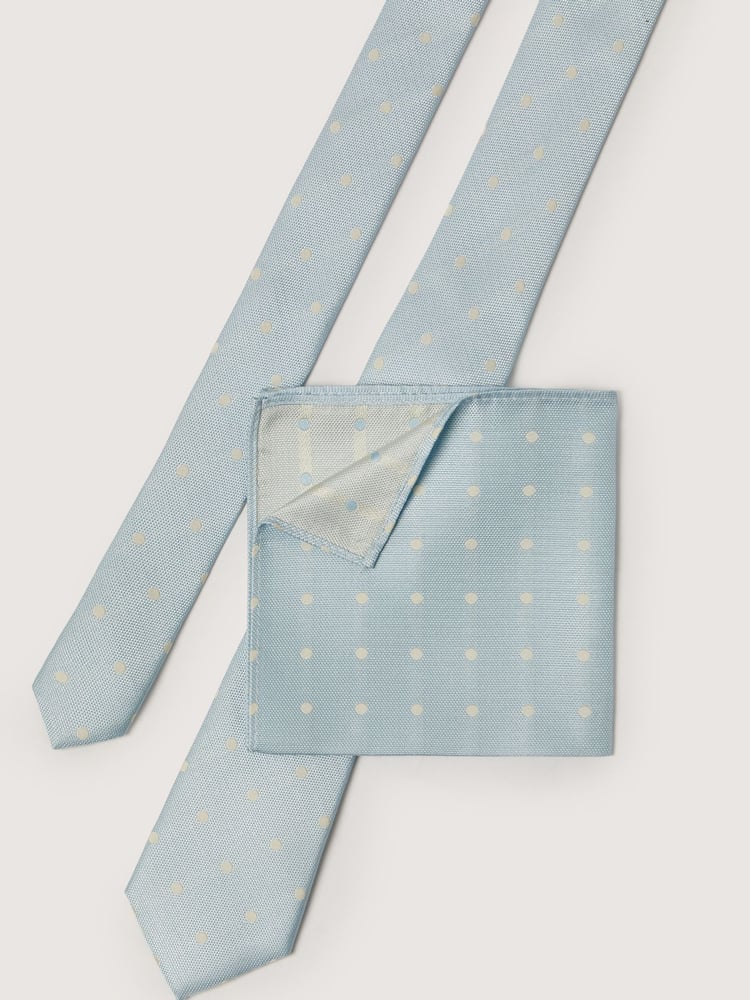 Antique Rogue Blue Polka Dot Tie - Image 4 of 4
