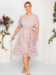 Yours Curve Pink London Lace Dress - Image 1 of 4