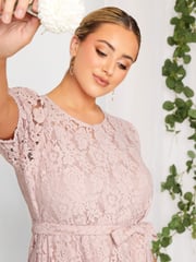 Yours Curve Pink London Lace Dress - Image 4 of 4