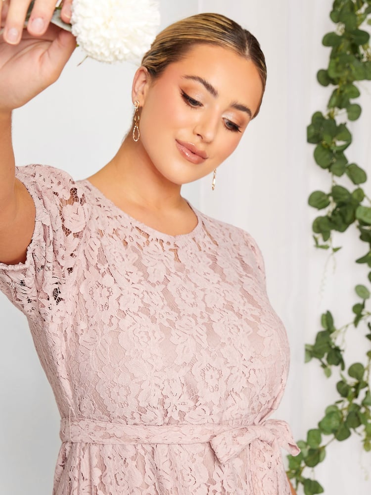 Yours Curve Pink London Lace Dress - Image 4 of 4