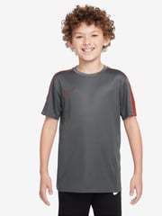 Nike Iron Grey/Dragon Red Kids Dri-FIT Academy23 Football Top - Image 1 of 3