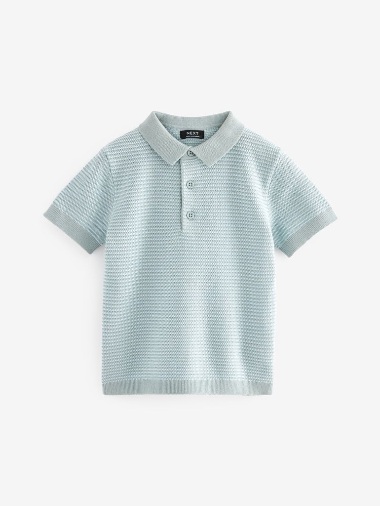 Blue 100% Cotton Short Sleeved Multi Tone Polo Shirt (3mths-7yrs) - Image 1 of 3