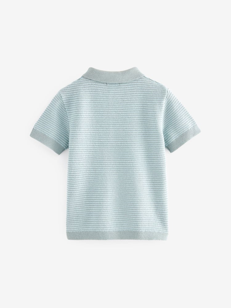Blue 100% Cotton Short Sleeved Multi Tone Polo Shirt (3mths-7yrs) - Image 2 of 3
