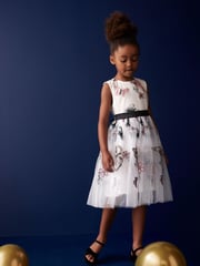 Butterfly Embroidered Mesh Tie Back Party Dress (3-16yrs) - Image 1 of 8