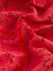 Red Lace Dobby Mix Short Sleeve Blouse - Image 3 of 6
