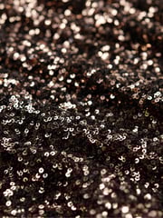 Superdry Brown Sleeveless Sequin A Line Mini Dress - Image 5 of 6