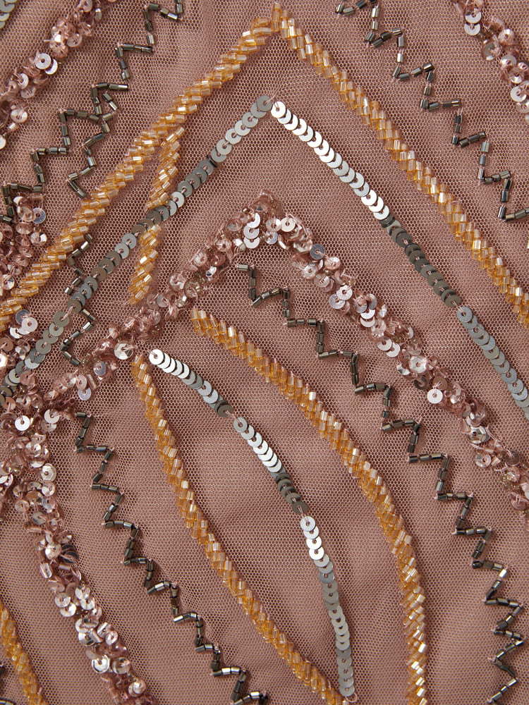 Raishma Embellished Tulle Maxi Dress - Image 5 of 5