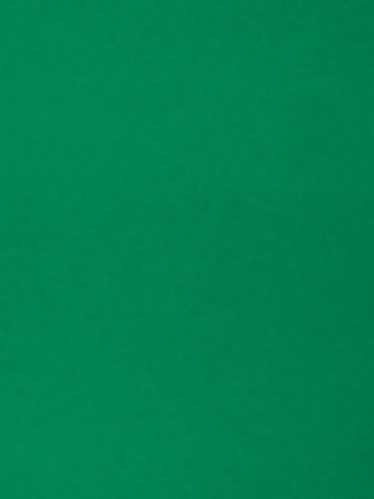 Adrianna Papell Green Bell Sleeve Tie Front Dress - Image 7 of 7