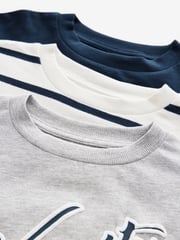 Blue/Grey Boxy T-Shirts 3 Pack (3-16yrs) - Image 6 of 7