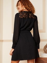 Love & Roses Black Lace Yoke Dobby Skater Dress - Image 3 of 4