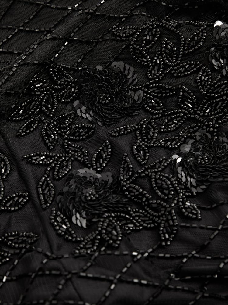 Raishma Embellished Mesh Black Maxi Dress - Image 5 of 5