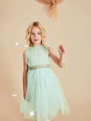Mint Green Mesh Tie Back Party Dress (3-16yrs) - Image 1 of 6