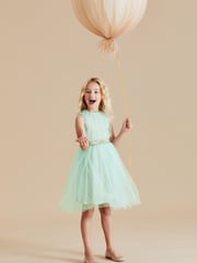 Mint Green Mesh Tie Back Party Dress (3-16yrs) - Image 2 of 6