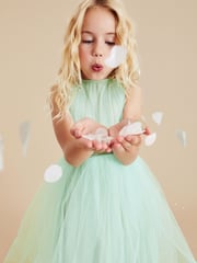 Mint Green Mesh Tie Back Party Dress (3-16yrs) - Image 4 of 6