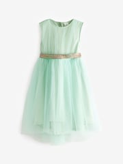 Mint Green Mesh Tie Back Party Dress (3-16yrs) - Image 5 of 6
