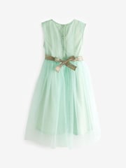 Mint Green Mesh Tie Back Party Dress (3-16yrs) - Image 6 of 6