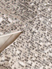 Monsoon Natural Charlotte Sequin Dress - Image 1 of 3