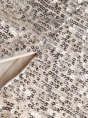 Monsoon Natural Charlotte Sequin Dress - Image 3 of 3