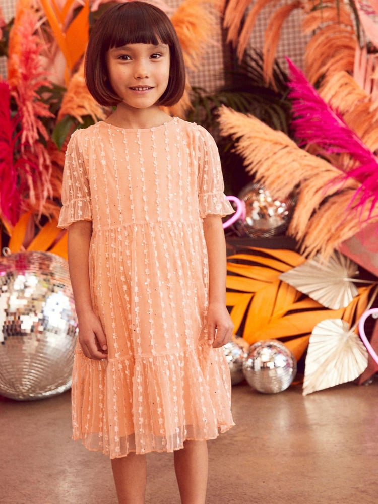 Apricot Pastel Orange Next Tiered Tulle Dress (3-16yrs) - Image 1 of 6