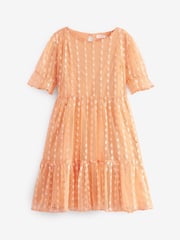Apricot Pastel Orange Next Tiered Tulle Dress (3-16yrs) - Image 5 of 6