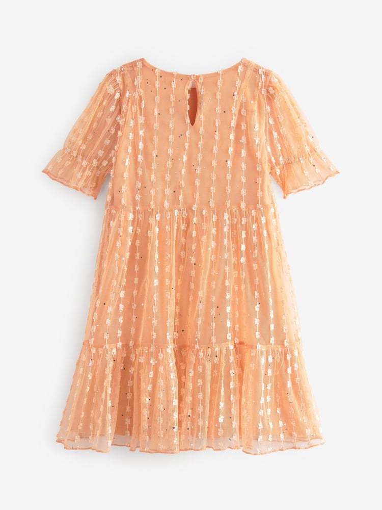 Apricot Pastel Orange Next Tiered Tulle Dress (3-16yrs) - Image 6 of 6