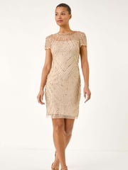 Roman Natural Embellished Sheer Detail Shift Dress - Image 1 of 5