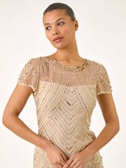 Roman Natural Embellished Sheer Detail Shift Dress - Image 4 of 5